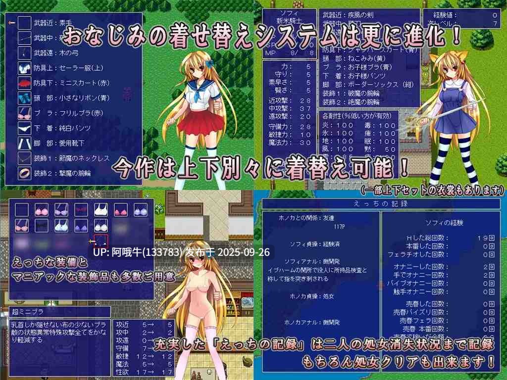 【日式/RPG/机翻】 DRAGON PLANET ~反抗堕落的女骑士与望乡的魔法少女~完全版 Ver2.02 机翻版 [600M]【序号3800】-第2张图片-萌站