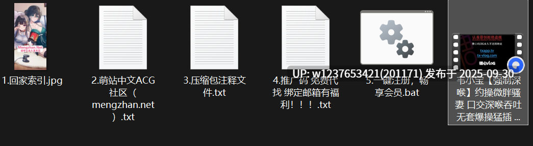 【韦小宝】强制深喉 约操微胖骚妻 口交深喉吞吐 无套爆操猛插 全程淫叫不止【1V+1P/1G】