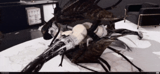 新作-innateSEX系列04  I Fucked 100 Insect-第9张图片-萌站