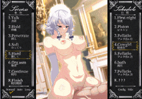 【神作合集】【神级SLG/动态/汉化/PC】东方同人游戏三部合集