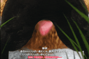 【2K/无修/无水印】新作-[AI去码][2K+1K60fps][Chocoンとこ][前編] 囚われの王女プリン2 ～深い森に堕ちた妖精～ [外挂字幕]-第10张图片-萌站