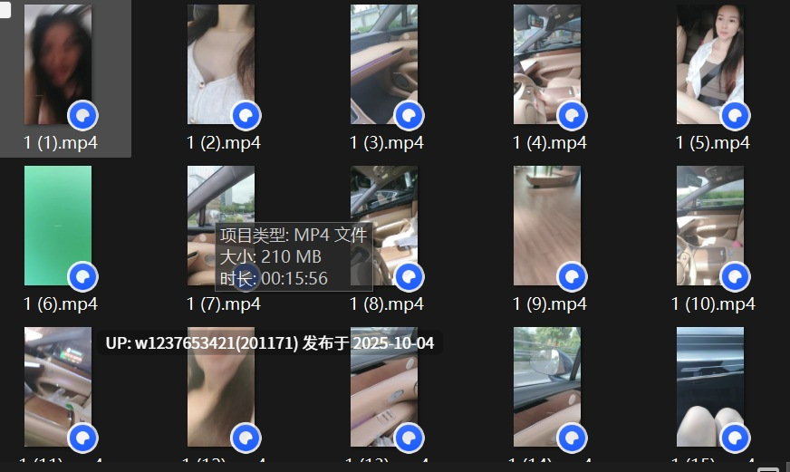 【不知天地为何物】滴滴女司机~户外尿尿~无套车震内射【31v 7.3g】