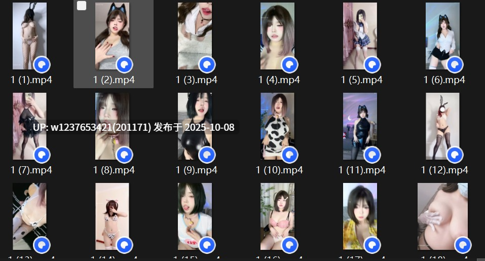 快手反差主播【崽崽睡不醒】私定裸舞内衣诱惑童颜大奶反差【19V+1.7G】