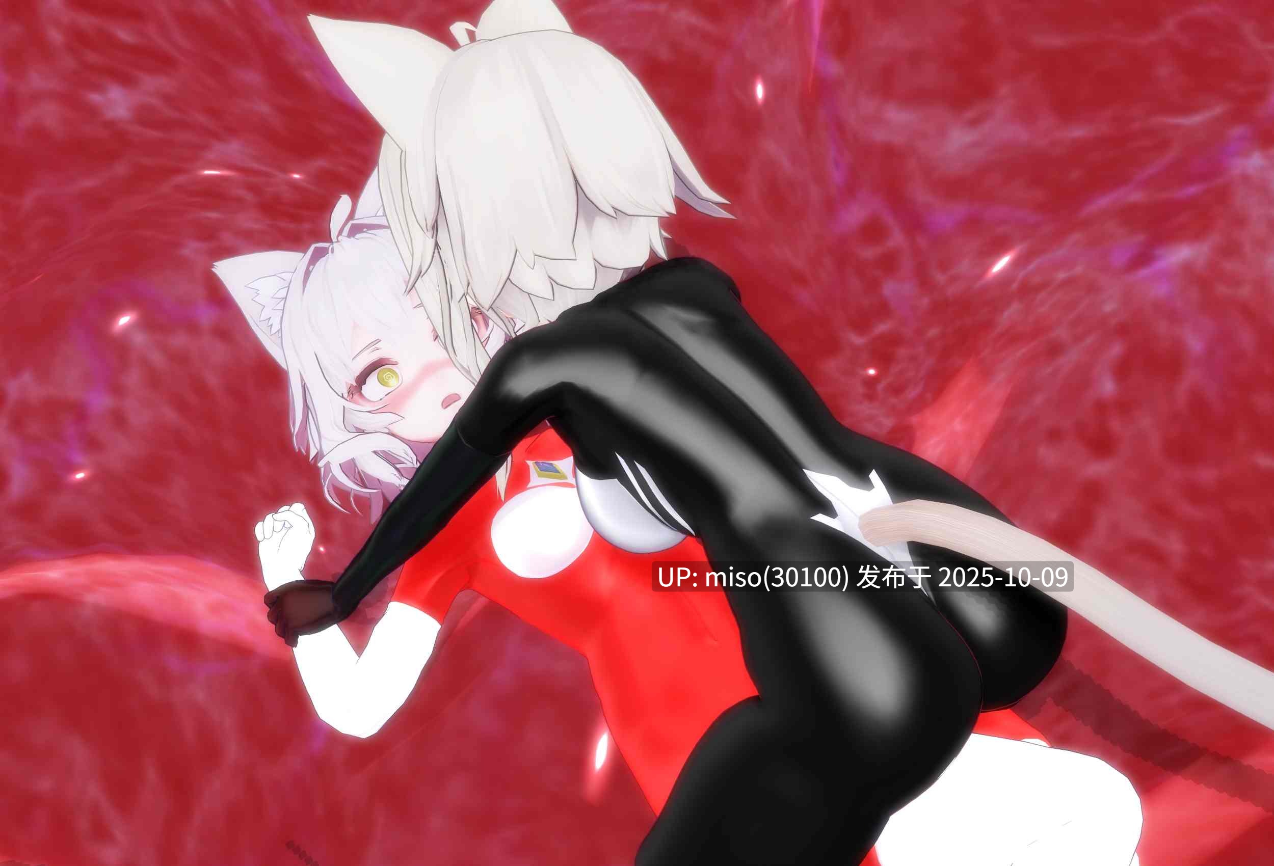154.黑白猫猫——（猫猫光战姬諾伊vs复制黑猫猫露娅）-第3张图片-萌站
