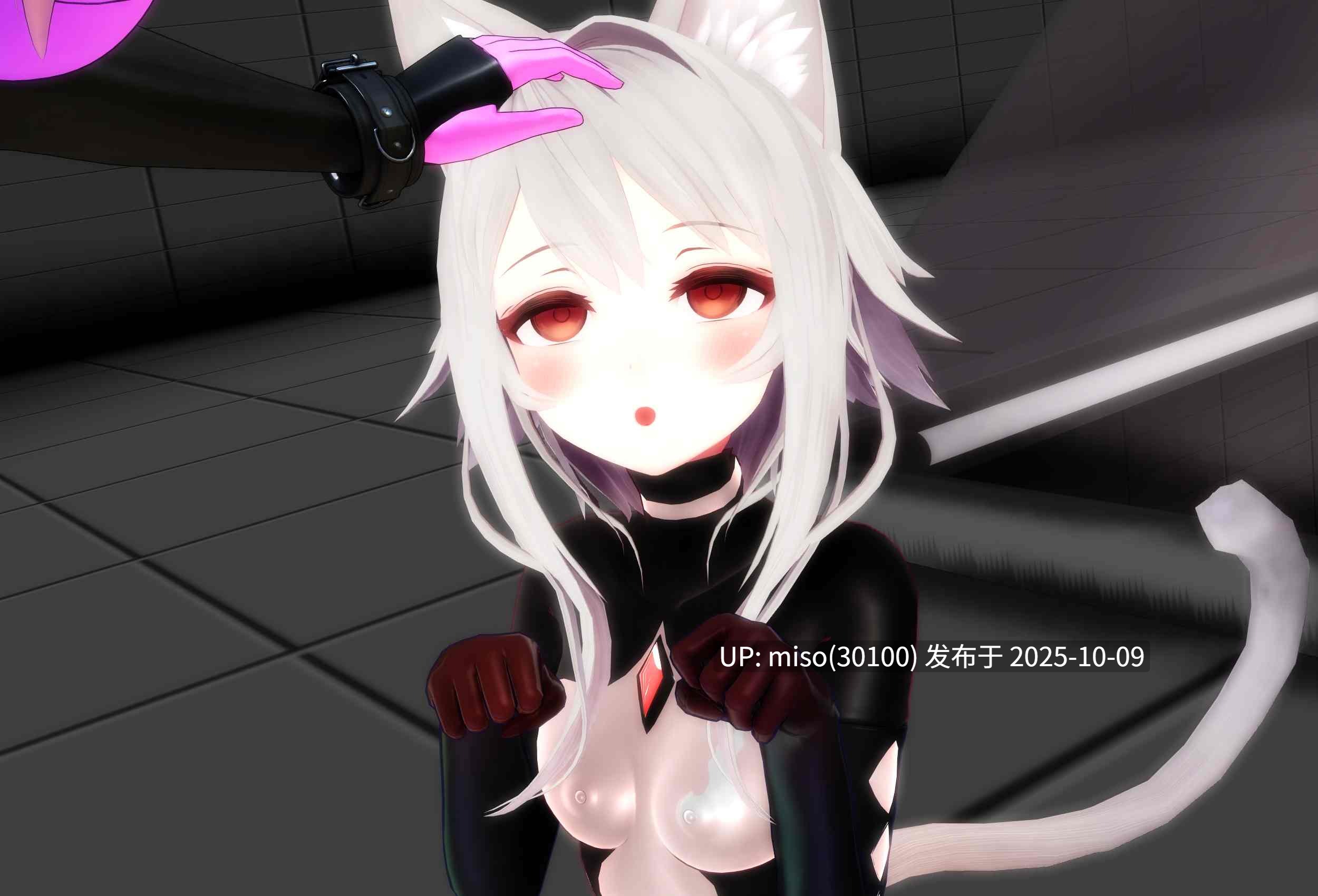 154.黑白猫猫——（猫猫光战姬諾伊vs复制黑猫猫露娅）-第13张图片-萌站
