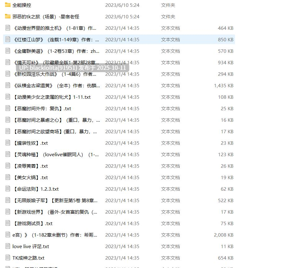 各类手枪文2