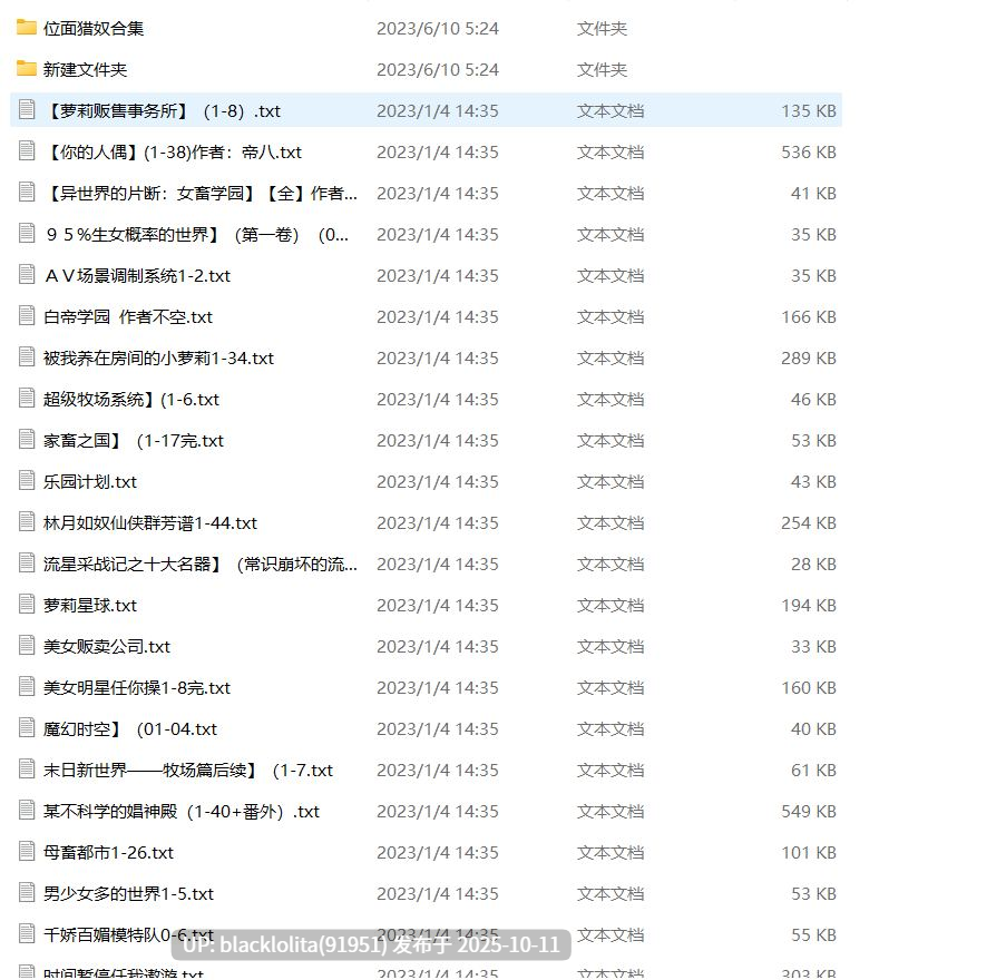 各类飞机文3