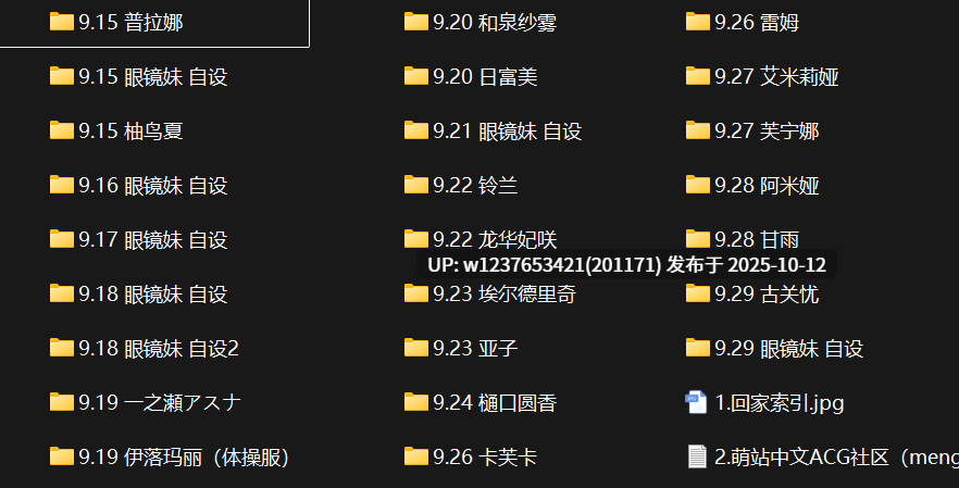 极品画师【NFFA】2024年9月图集整合包【1.24G】
