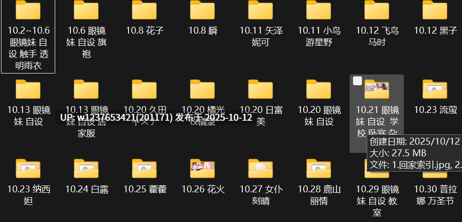 极品画师【NFFA】2024年10月图集整合包【1.23G】