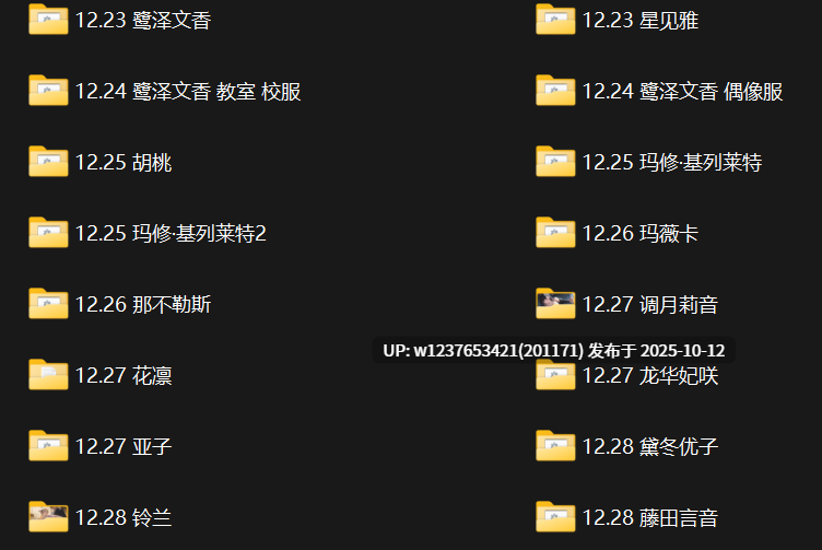 极品画师【NFFA】2024年12月图集整合包【1.91G】
