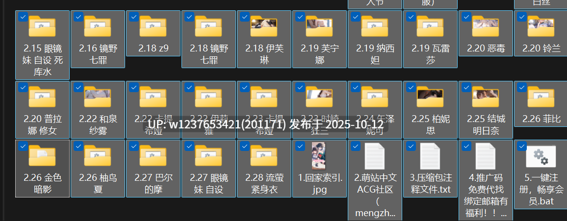 极品画师【NFFA】2025年2月图集整合包【2.19G】-第2张图片-萌站