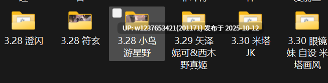 极品画师【NFFA】2025年3月图集整合包【1.7G】