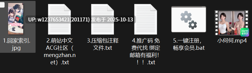 网红美女AI脱衣系列：小何何【1V+229M】