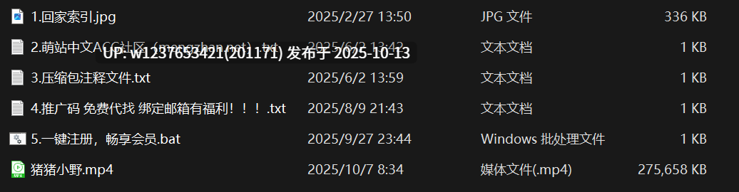 网红美女AI脱衣系列：猪猪小野【1V+200M】