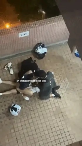 【视频】奇葩猎奇小视频 合集目中无人篇 【34P+172V】【6.5G】-第3张图片-萌站