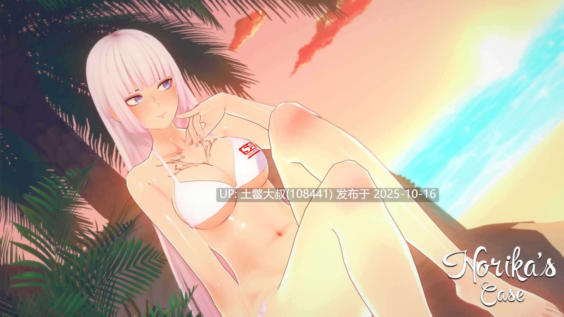 【3D日式SLG R机翻】诺里卡的案件 Norika's Case [S2 v0.12]-第15张图片-萌站