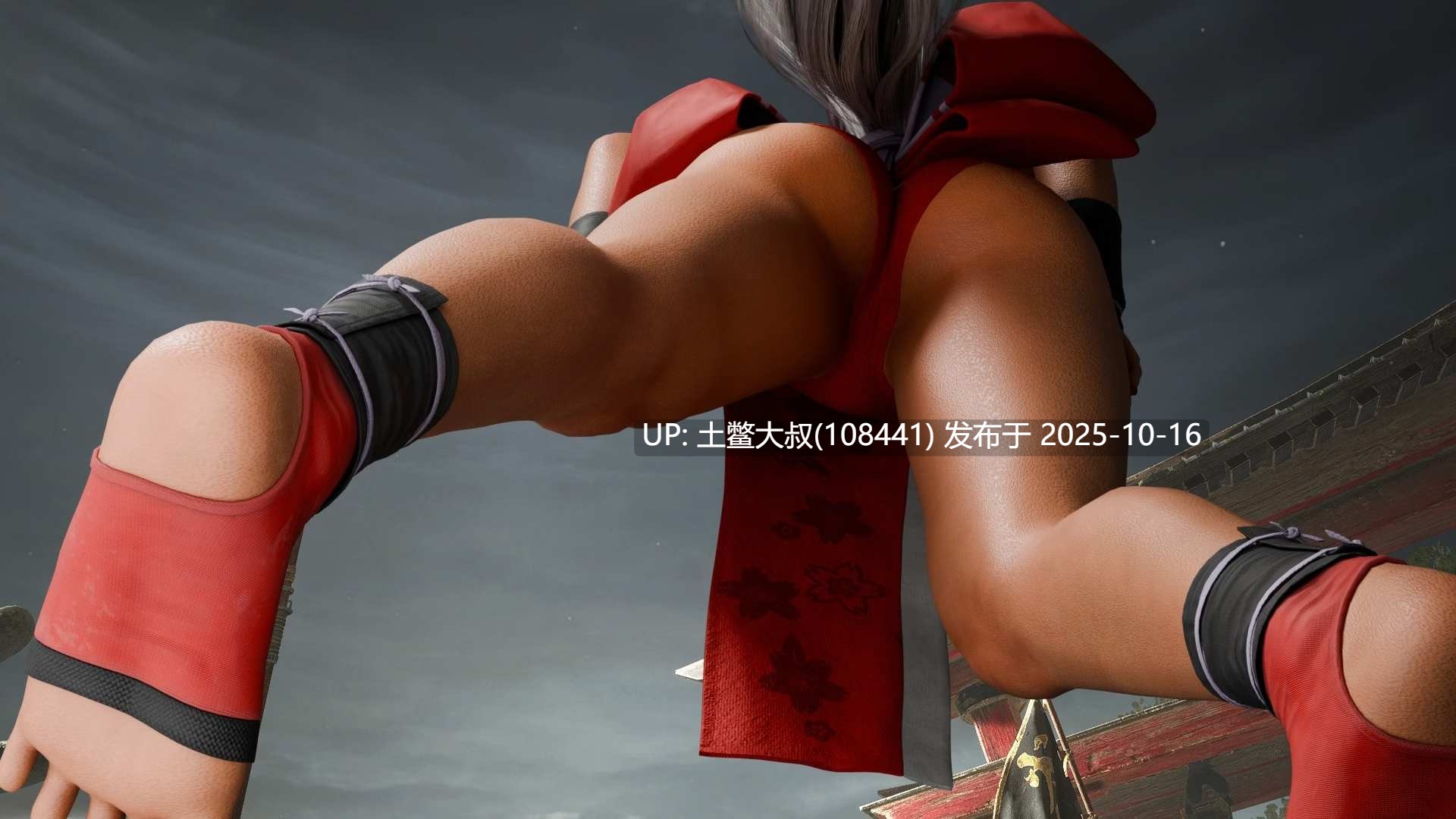 【3D同人类SLG 街霸 R机翻】街头斗士成人游乐场 Street Brawlers Adult Playground [Battle 8.4] 6GB-第16张图片-萌站