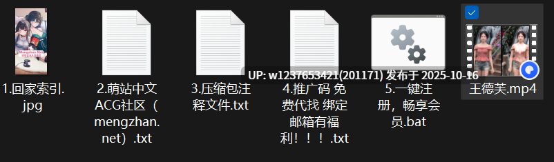 网红美女AI脱衣系列：王德芙 第一弹【1V+101M】