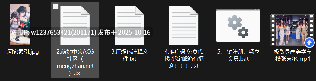 网红美女AI脱衣系列：张芮尔【1V+1.42G】