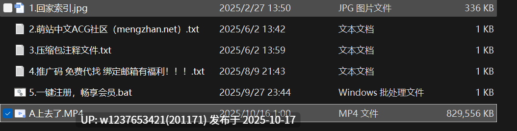 网红美女AI脱衣系列：A上去了【1V+810M】