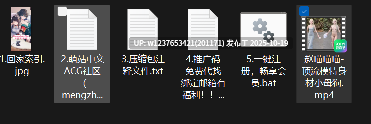 网红美女AI脱衣系列：赵喵喵喵【1V+163M】