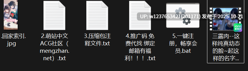 网红美女AI脱衣系列：三露肉【1V+206M】