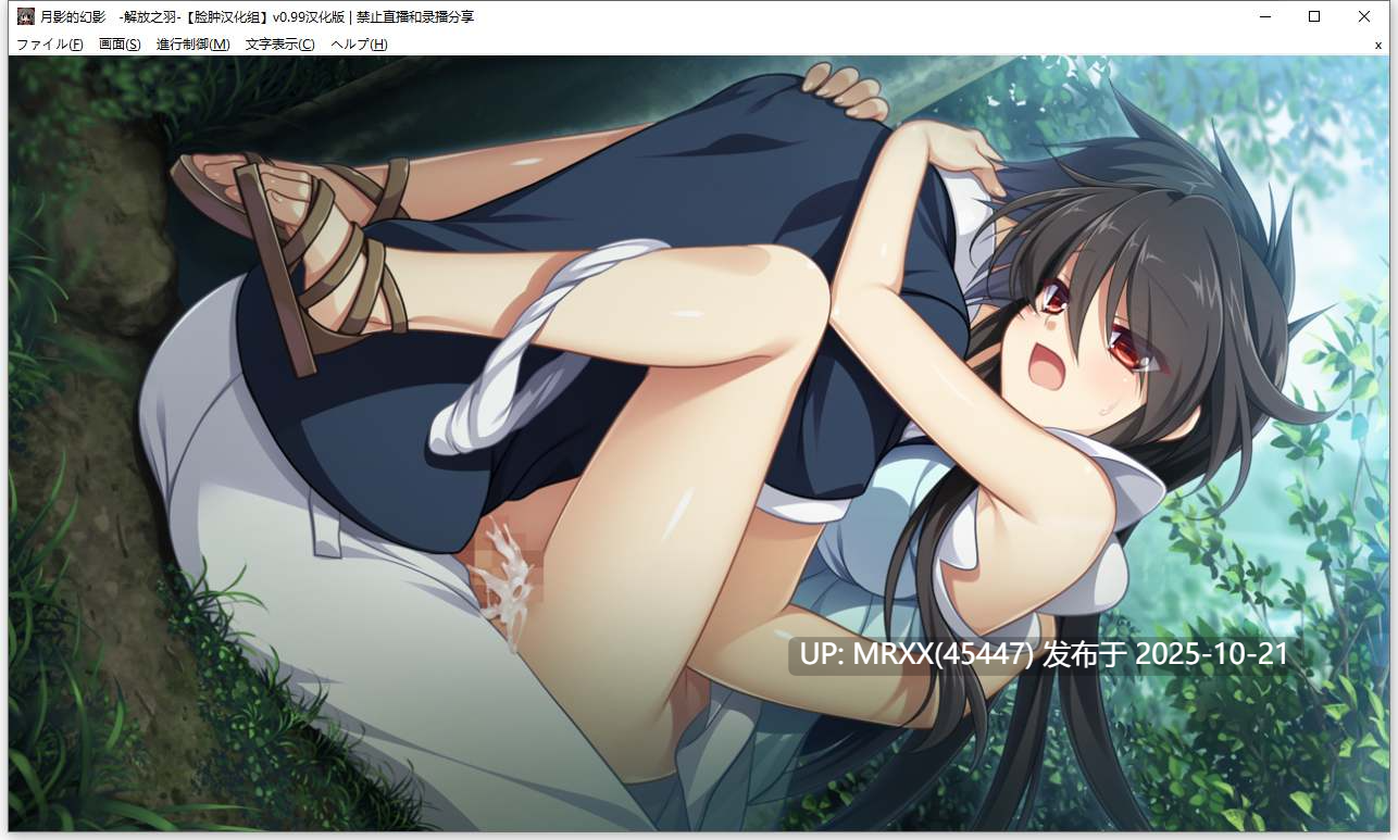 【PC/ADV/汉化】月影的幻影 -解放之羽 全CG存档-第6张图片-萌站