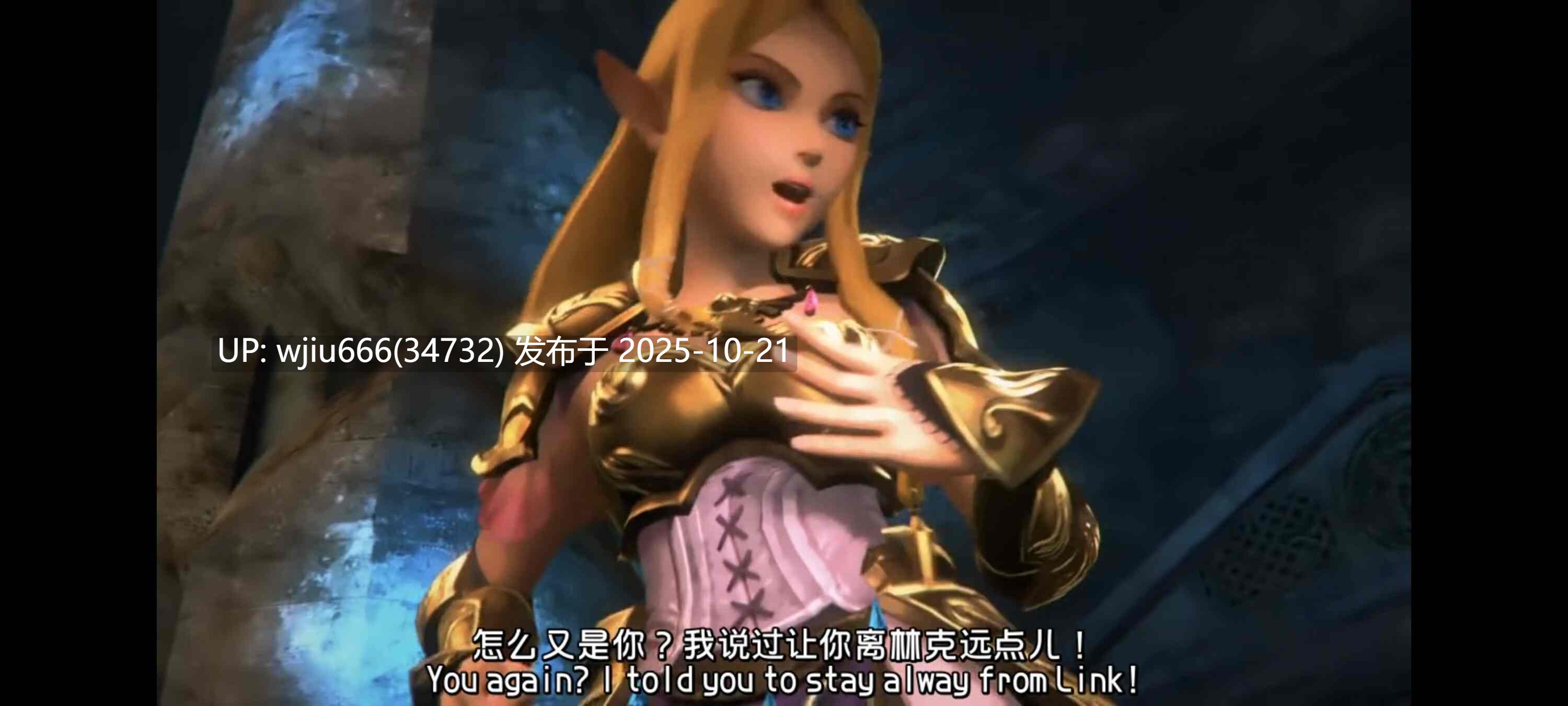 【3D】The Royal Treatment [中文字幕]塞尔达传说
