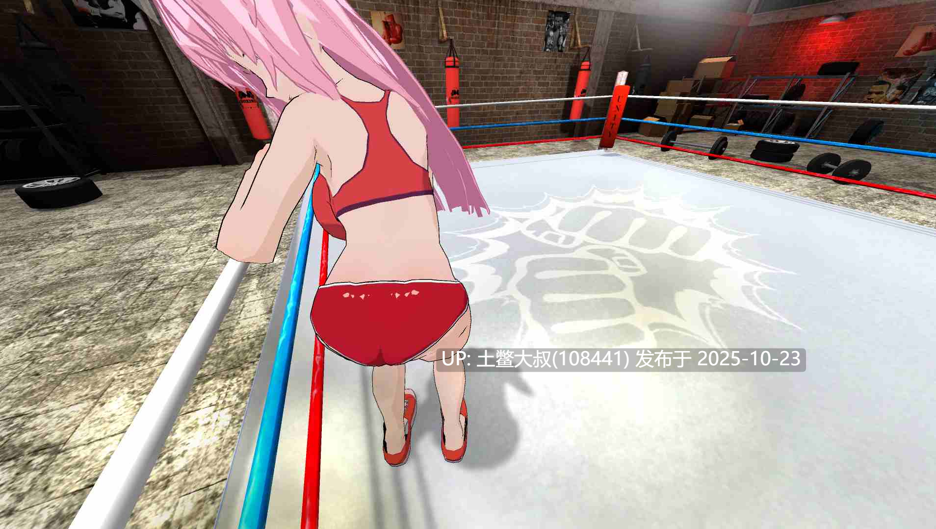 【3D日式格斗ACT 生肉】变态战士 VR Hentai Fighters VR [v1.6.1]-第2张图片-萌站
