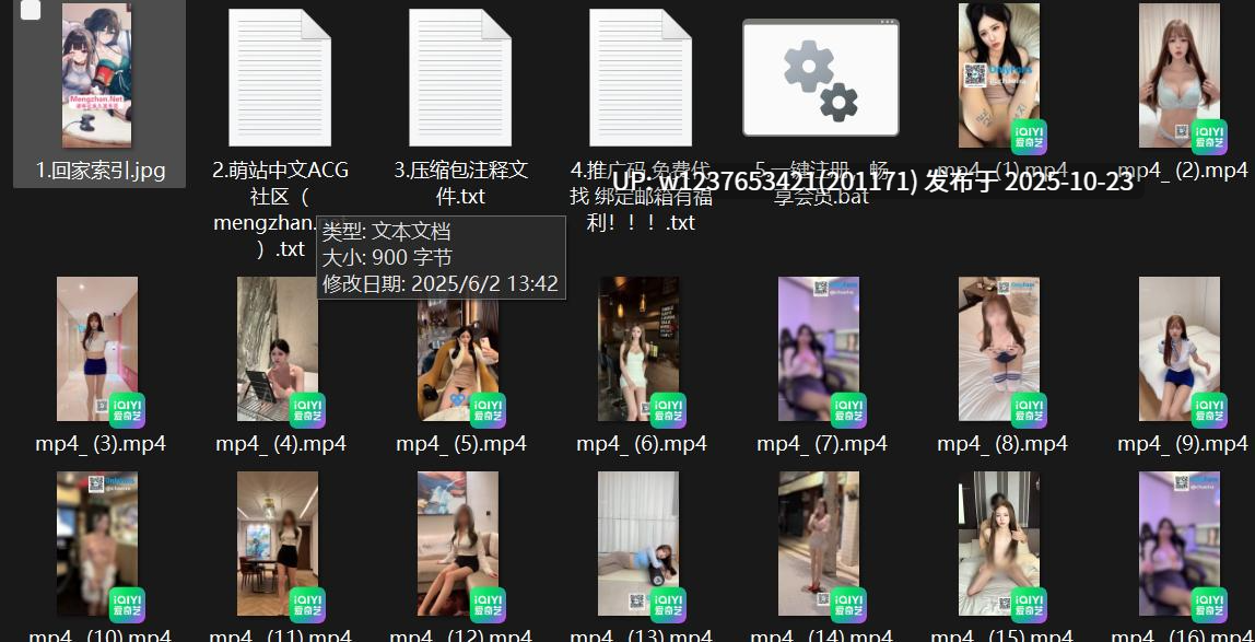 顶级颜值混血女神【chaeira】小清新呆呆的，沦为财阀肉便器，真正的穷人女神，富人母狗【19v828M】