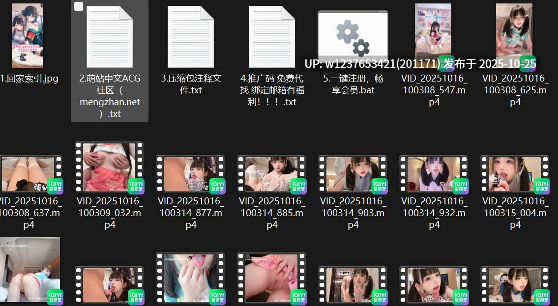 【推特】可爱COS福利姬【电擎萌王】 金主线下拍摄步兵作品合集 [70V] 【2.9G】