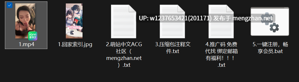 抖音网红上海少妇【汉堡包】泄密流出，全脸品尝各种鸡巴，津津有味【1v-2g】