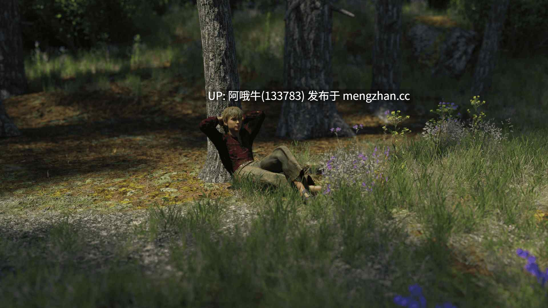 【3D/SLG/PC机翻/安卓生肉/萌站内植】交的艺术和......爱 The Art of Diplomacy and… Love [v0.14] [DS23Games]【1.93G】【序号4591】-第7张图片-萌站