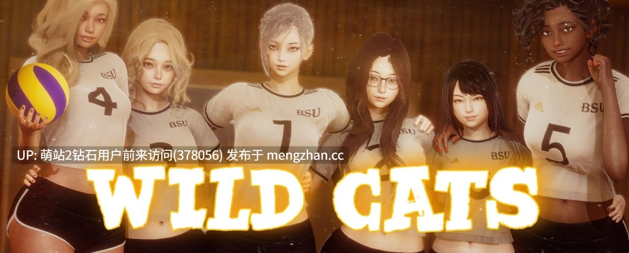 [超精致渲染美少女黄油][亚洲风官中后宫][安卓精品SLG] 野猫 Wild Cats Ver0.3.0 官方中文版 [官中动态4G]-第5张图片-萌站