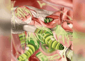 新作-[HMV]-[INSECT] VIRUS SEXUAL 2 WARNING! PARASITE!-第3张图片-萌站