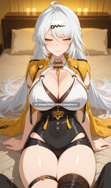 【2d图包】zzz-仪玄 148p  酒店爆炒仪玄师傅~-第4张图片-萌站
