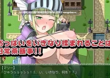 [爆乳姬骑士发情调教堕落]悲劇の巨乳エルフ～理不尽陵○物語～-第4张图片-萌站