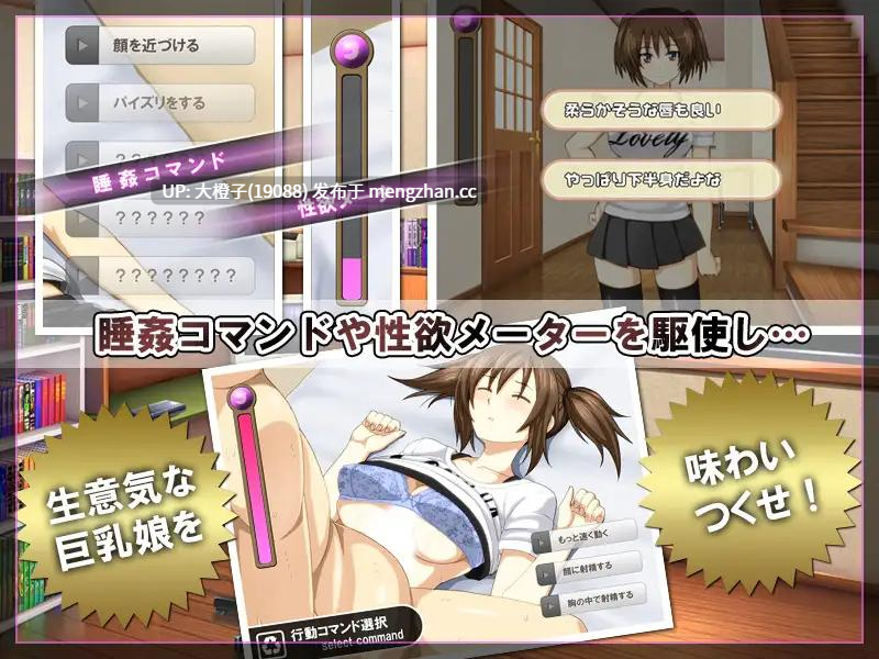 [SLG迷奸动态PC][ヤマダ開発室] 巨乳娘を睡眠薬で眠らせて[967M]-第6张图片-萌站