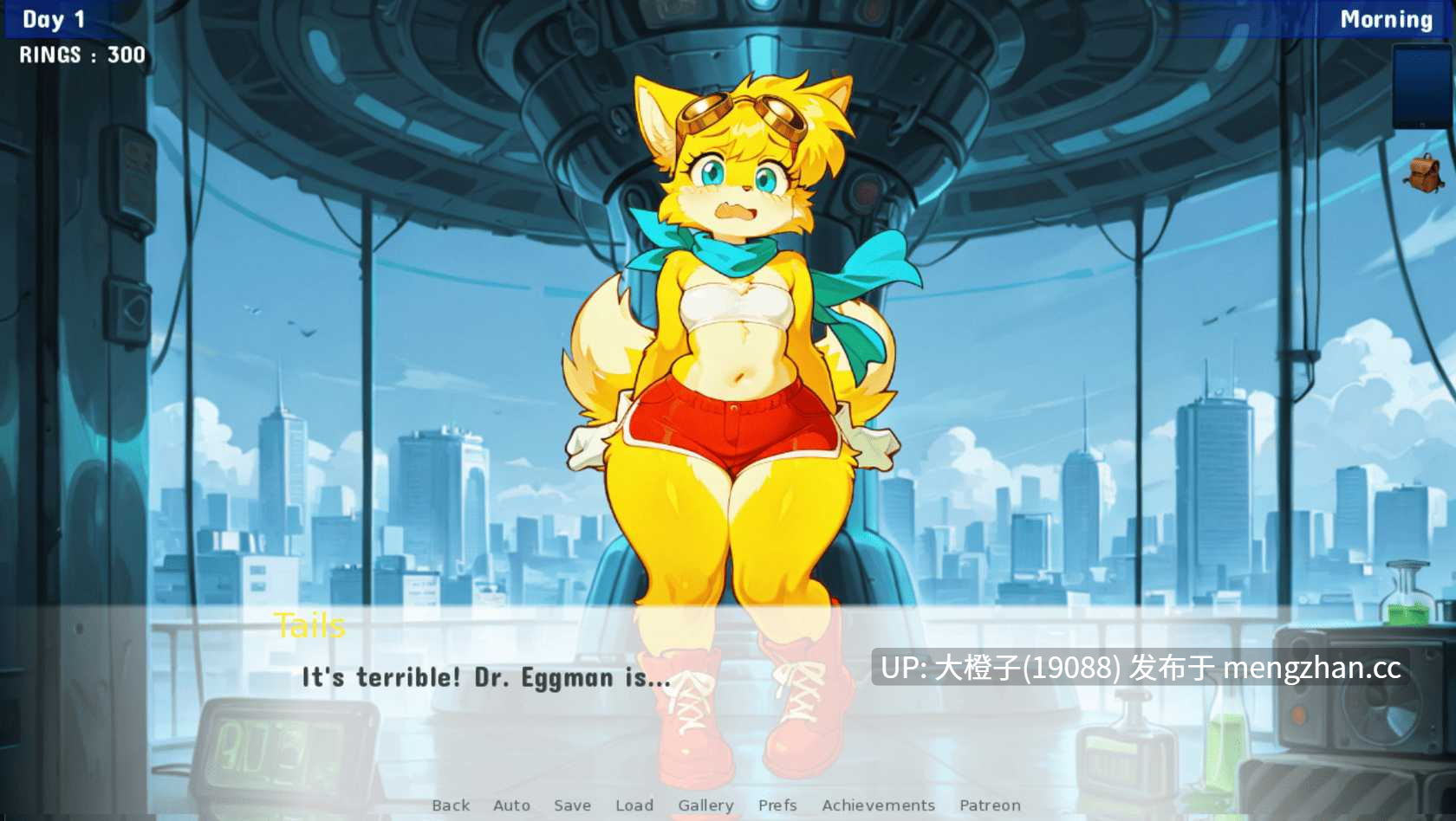 [SLG汉化PC步兵福瑞后宫]索尼克 IDS 任务 Sonic IDS Quest v0.9 [1.47G]-第13张图片-萌站