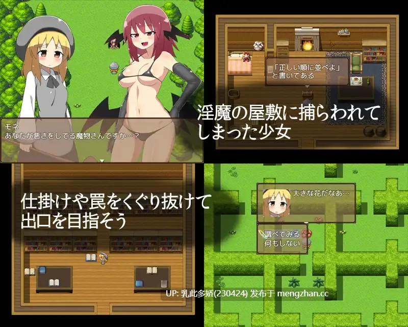 23[RPG汉化] 淫魔と触手の迷宮 [PC360M]-第4张图片-萌站