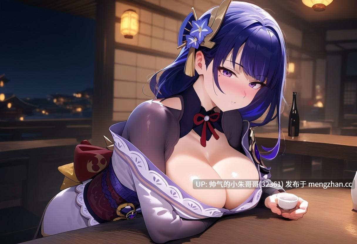 原神 雷神小合集二 [10本+2000p+2.17G]