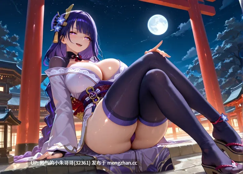 原神 雷神小合集四 [10本+1700p+1.88G]