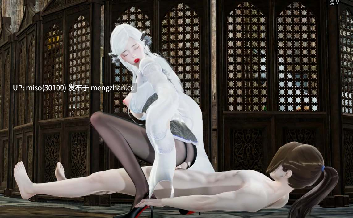 20.黑丝女上位