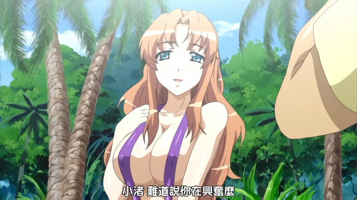 激情海灘 ～南國乳辱撮影會～pinkpineapple 粉菠萝 里番合集 呆萌合集 激情海滩 ～南國国乳辱摄影会～-第5张图片-萌站