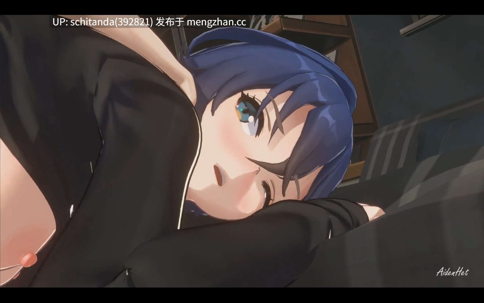 【3D/巨乳】AidenHet合集[合并视频5V/100分钟]-第2张图片-萌站