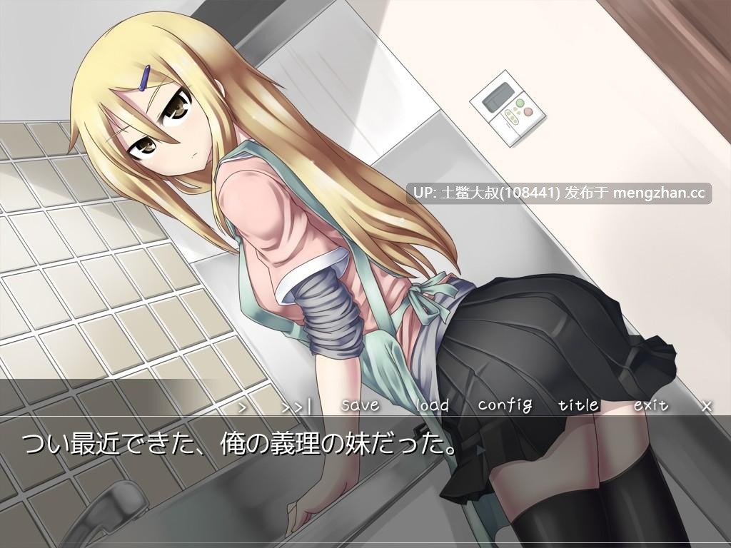 【2D日式ADV 同居 妹妹 兄控 学园 内置汉化】[2012.8.22][夜のひつじ] 義妹ホールと妹ホールド