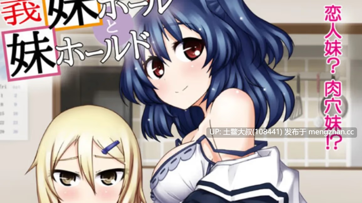 【2D日式ADV 同居 妹妹 兄控 学园 内置汉化】[2012.8.22][夜のひつじ] 義妹ホールと妹ホールド-第6张图片-萌站