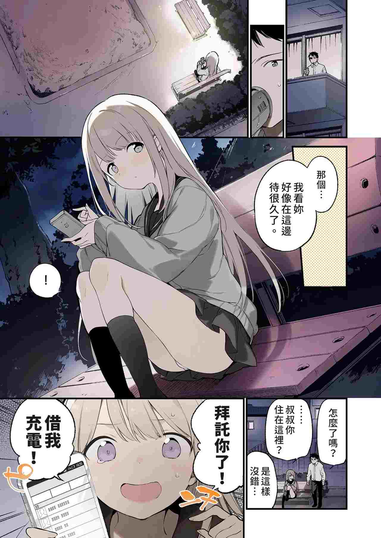 迷途的猫