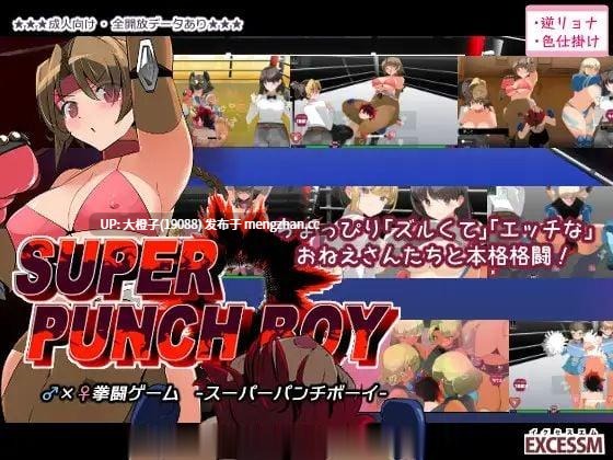 [ACT动态机翻格斗PC] Super Punch Boy Ver2.02 [1.4G]