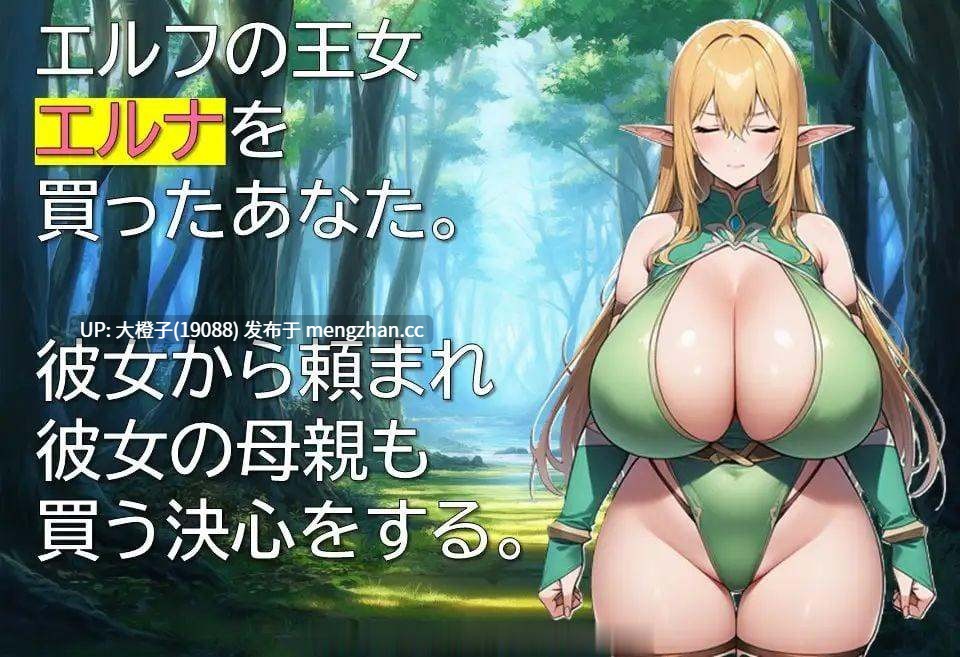 [RPG汉化PC巨乳][ギンユウシジン ]エルフ隷属記～色欲に沈む母娘～[944M]-第2张图片-萌站